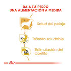 Royal Canin Adult Chihuahua paté en sobre , , large image number null